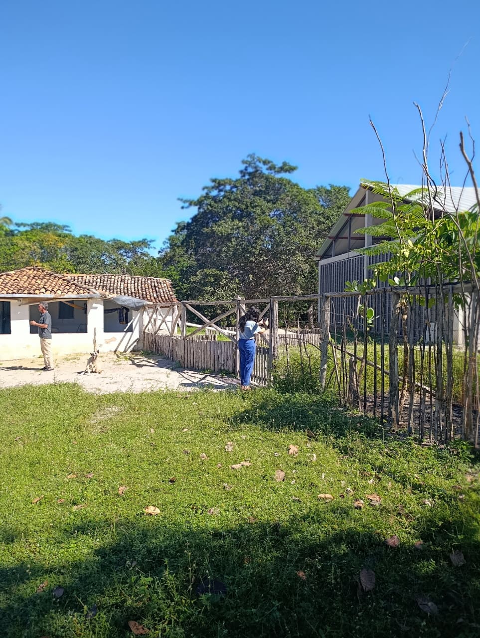 Cabaça pendurada em parede de taipa