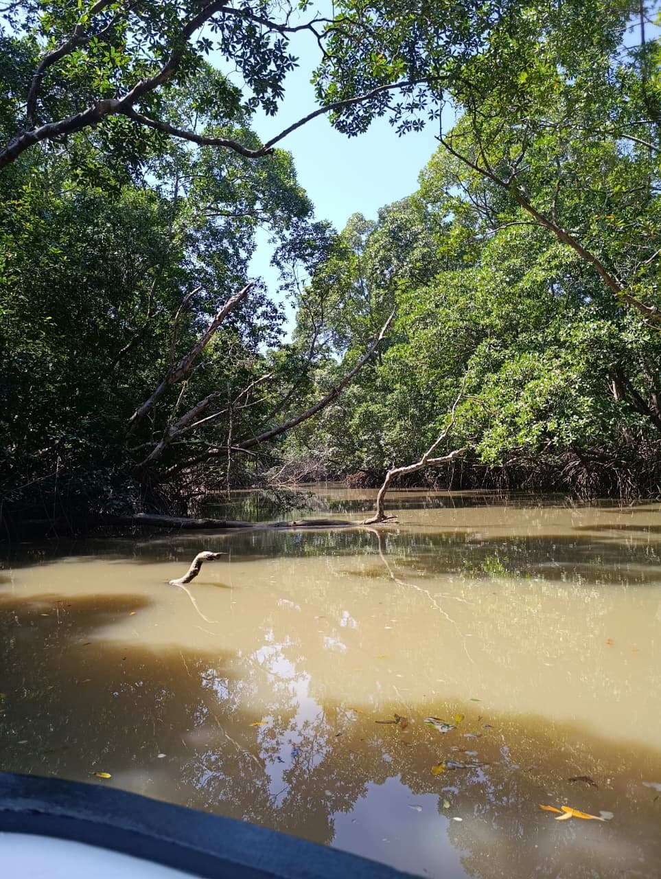 Registro 15 — Delta do Parnaíba
