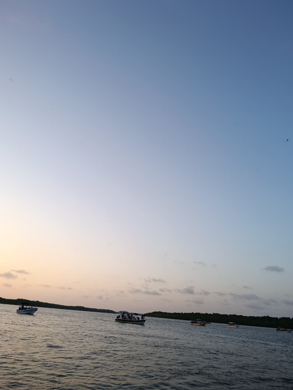 Registro 10 — Delta do Parnaíba